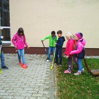 IMG_20231024_135101.jpg