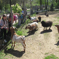 IMG_8270.JPG