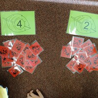 IMG_20230927_093221.jpg