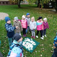 IMG_20241010_093928.jpg