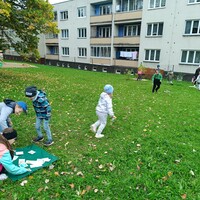 IMG_20241010_094106.jpg