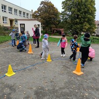 IMG_20241010_095500.jpg