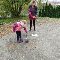 IMG_20241010_101249.jpg