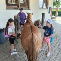 IMG_20250620_101151.jpg