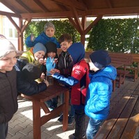 IMG_20241017_131442.jpg
