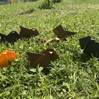Origami_brat_3.jpg