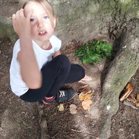 c365cee5-dd16-4017-b87d-20966b234e3b.jpeg