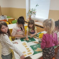 IMG_20250408_131740.jpg