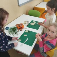 IMG_20250429_131813.jpg