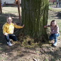 IMG_20250307_134055.jpg