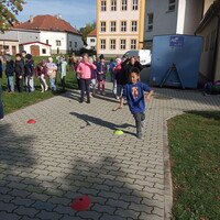 IMG_20241018_133100.jpg