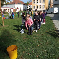 IMG_20241018_133545.jpg