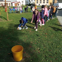 IMG_20241018_133702.jpg