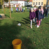 IMG_20241018_133730.jpg