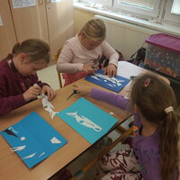 IMG_20241105_133619.jpg