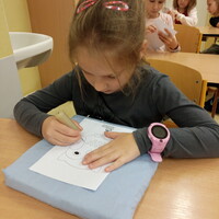 IMG_20241119_132236.jpg