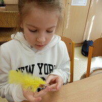 IMG_20250304_133339.jpg