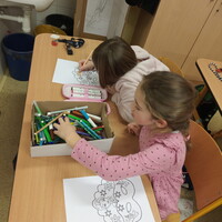 IMG_20250213_120731.jpg
