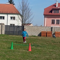 IMG_20250328_132235.jpg