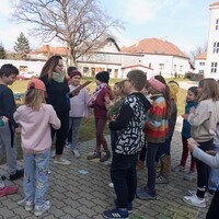 IMG_20250328_134628.jpg