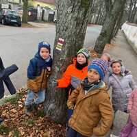 IMG_4292.JPG