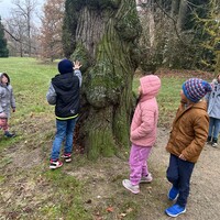 IMG_4326.JPG