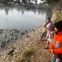 IMG_4398.JPG