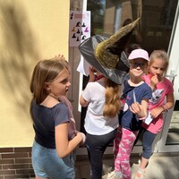 IMG_5293.JPG