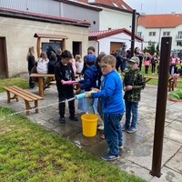 IMG_8569.jpg