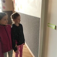 IMG_7689.jpg