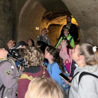 IMG_7923.jpeg