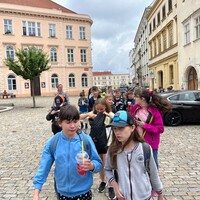 IMG_7935.jpeg