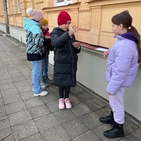 IMG_7275.jpeg