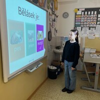 IMG_7365.jpeg