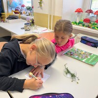 IMG_6567.jpeg
