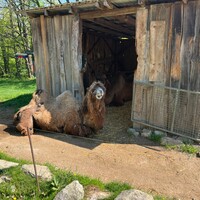 IMG_7607.jpeg
