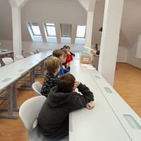 IMG_20250117_111019.jpg