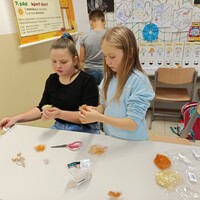 IMG_20241203_111827.jpg