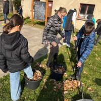 IMG_4281.JPG