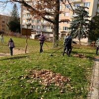 IMG_4282.JPG