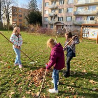 IMG_4283.JPG