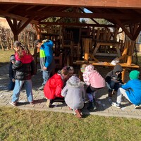 IMG_5018.JPG