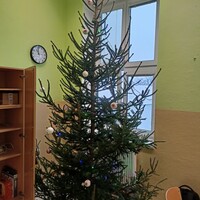 IMG20241206105858.jpg