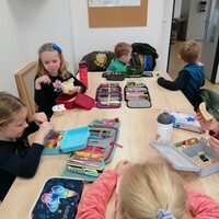 IMG_20241119_093434.jpg