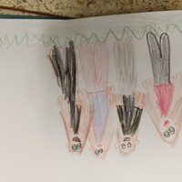 IMG_20241113_104800.jpg