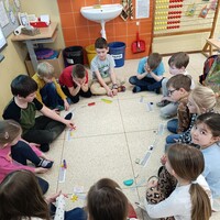 IMG_20250401_093101.jpg
