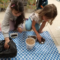 IMG_20250415_091546.jpg