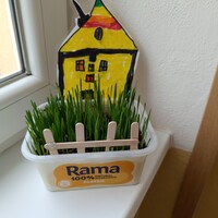 IMG_20250423_105817.jpg