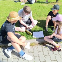 IMG_20250624_091614.jpg