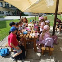 IMG_20250624_094530.jpg